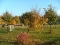 2004_1021herbst7Bild0070-300x224 2004_1021herbst7Bild0070-300x224